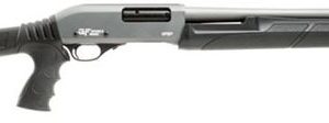 Gf2p12ltg.jpg