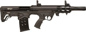 Gfy1dblk.jpg