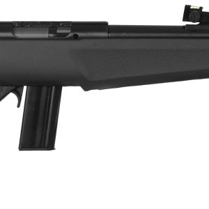 Rb22l1611.jpg