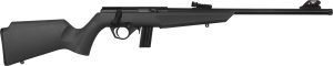 Rb22l1611.jpg