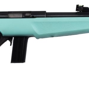 Rb22l1611c.jpg