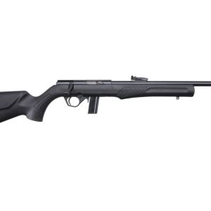 Rb22l1811.jpg